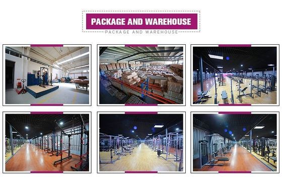 Banco de utilidad ajustable para equipos de ajuste corporal, dimensiones montadas 1610*630*1310 mm